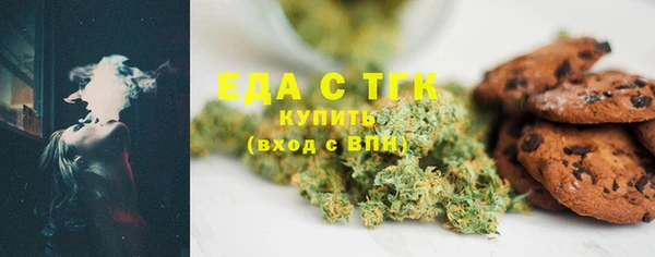 индика Новодвинск