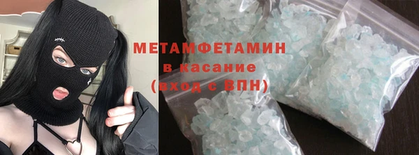 индика Новодвинск