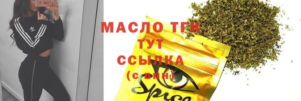 индика Новодвинск