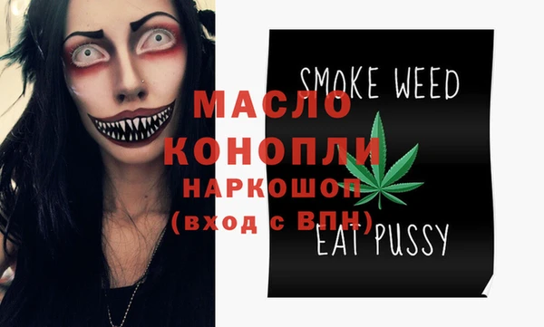индика Новодвинск