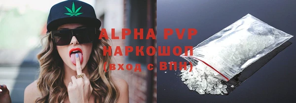 индика Новодвинск