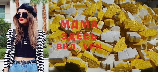 индика Новодвинск