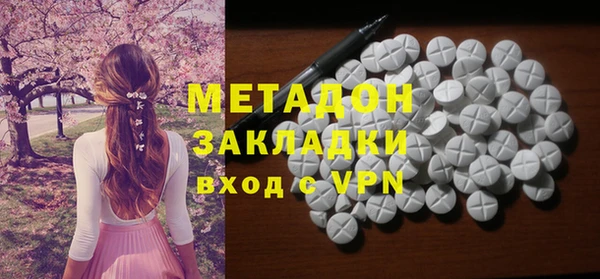 индика Новодвинск