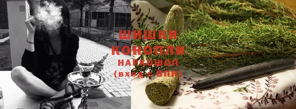 индика Новодвинск