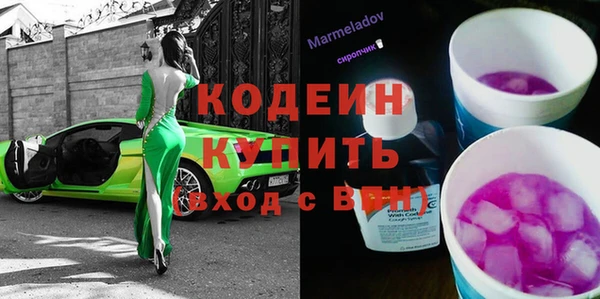 индика Новодвинск