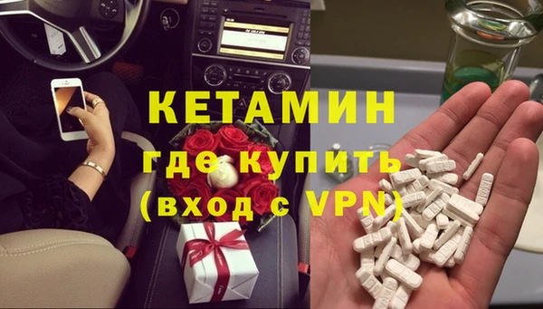 индика Новодвинск
