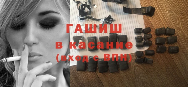 индика Новодвинск