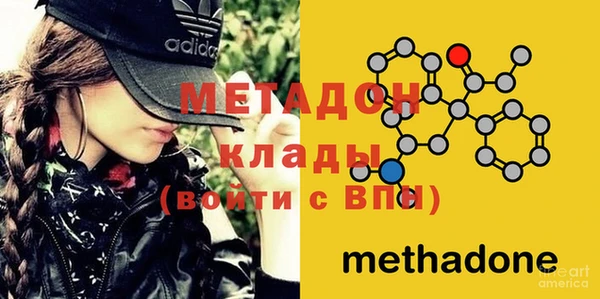 индика Новодвинск