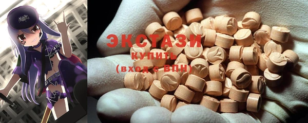 индика Новодвинск