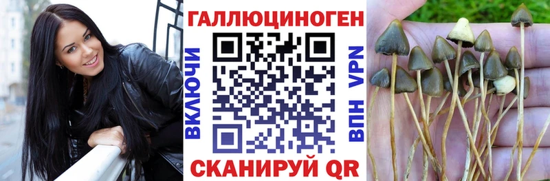 OMG ТОР Холмск Галлюциногенные грибы Cubensis магазин продажи