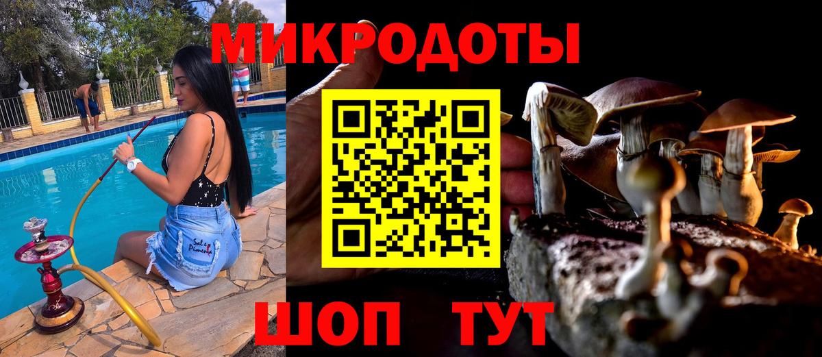 Псилоцибиновые грибы Psilocybe  Вход с VPN  закладки  Холмск 