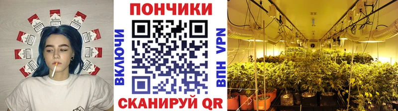 дарнет шоп Холмск Шишки марихуана Amnesia